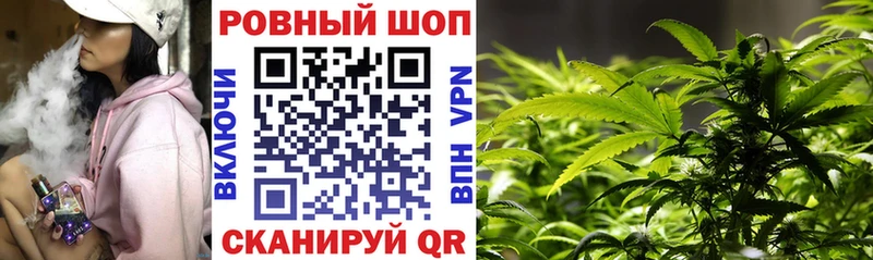 Сколько стоит Стародуб АМФЕТАМИН  Конопля  Alpha-PVP 